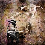 Miuras_80x80 (130�)