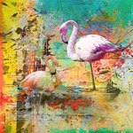 Flamants Fluo 80x80 (130�)