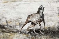 AbsGris_60x90 (130�)