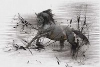 Absnoir_60x90 (130�)