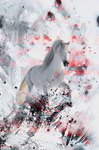 Absblanc 4_60x90 (130�)