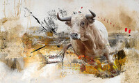 Abstoro 90_60x100 (130�)