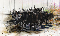 Cent Toros Vert_60x100 (130�)
