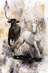 Duo Carmargue_90x60 (130�)