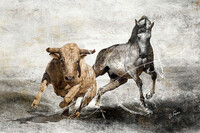 Equidance_60x90 (130�)