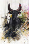 Escapade_90x60 (130�)