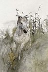 Evasion_60x90 (130�)