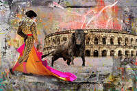 SoloToro_60x90 (130�)