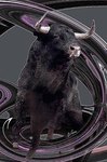 Toro2_60x90 (130�)